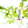 Hummingbird Bird Feeder